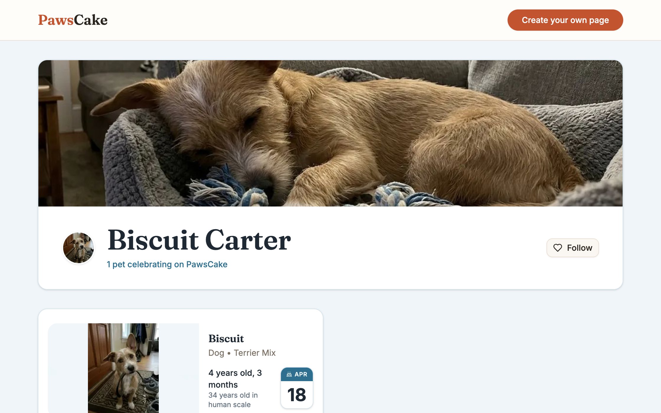 Biscuit Carter's page: birthday countdown and age in human years