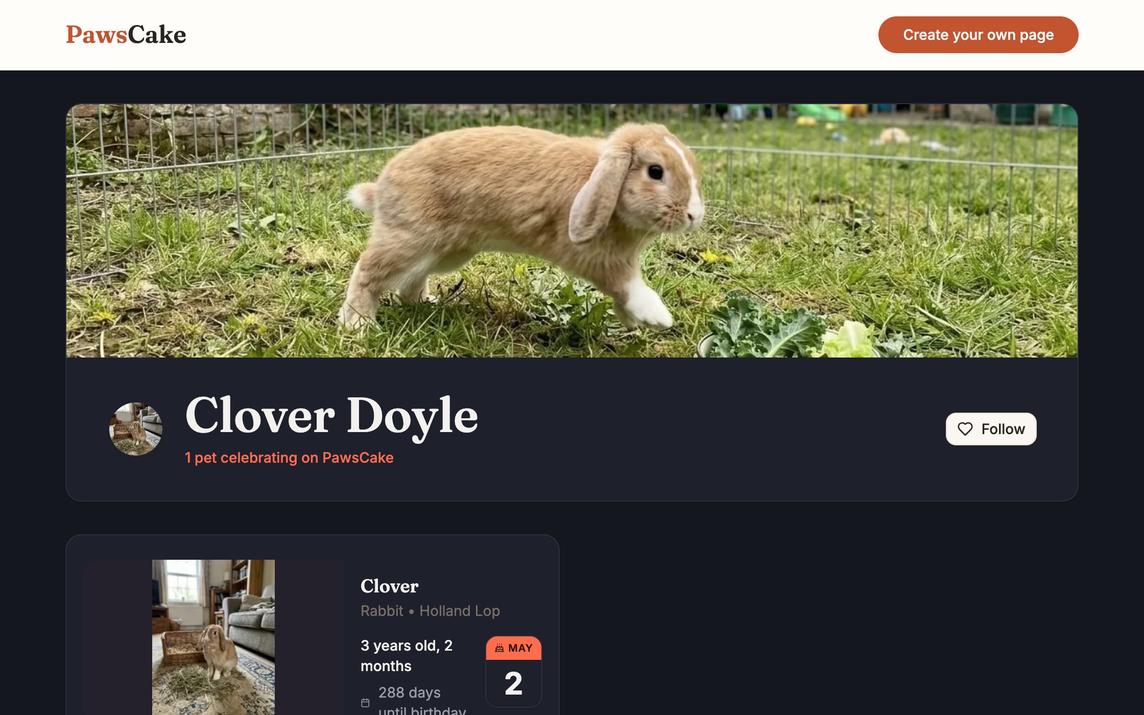 Clover Doyle's page: birthday countdown and age in human years